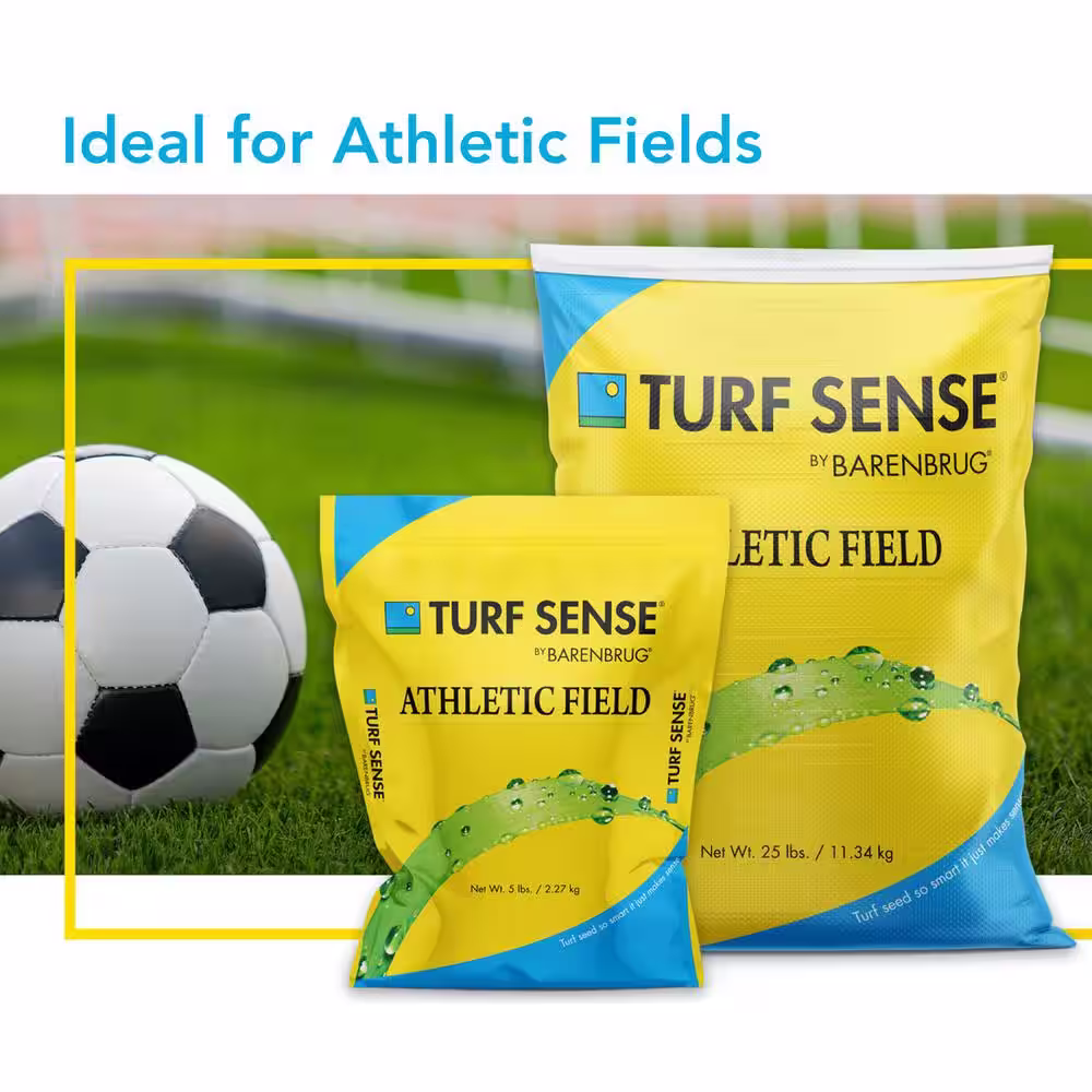 Barenbrug Turf Sense 5 lbs. Athletic Field Mix Grass Seed