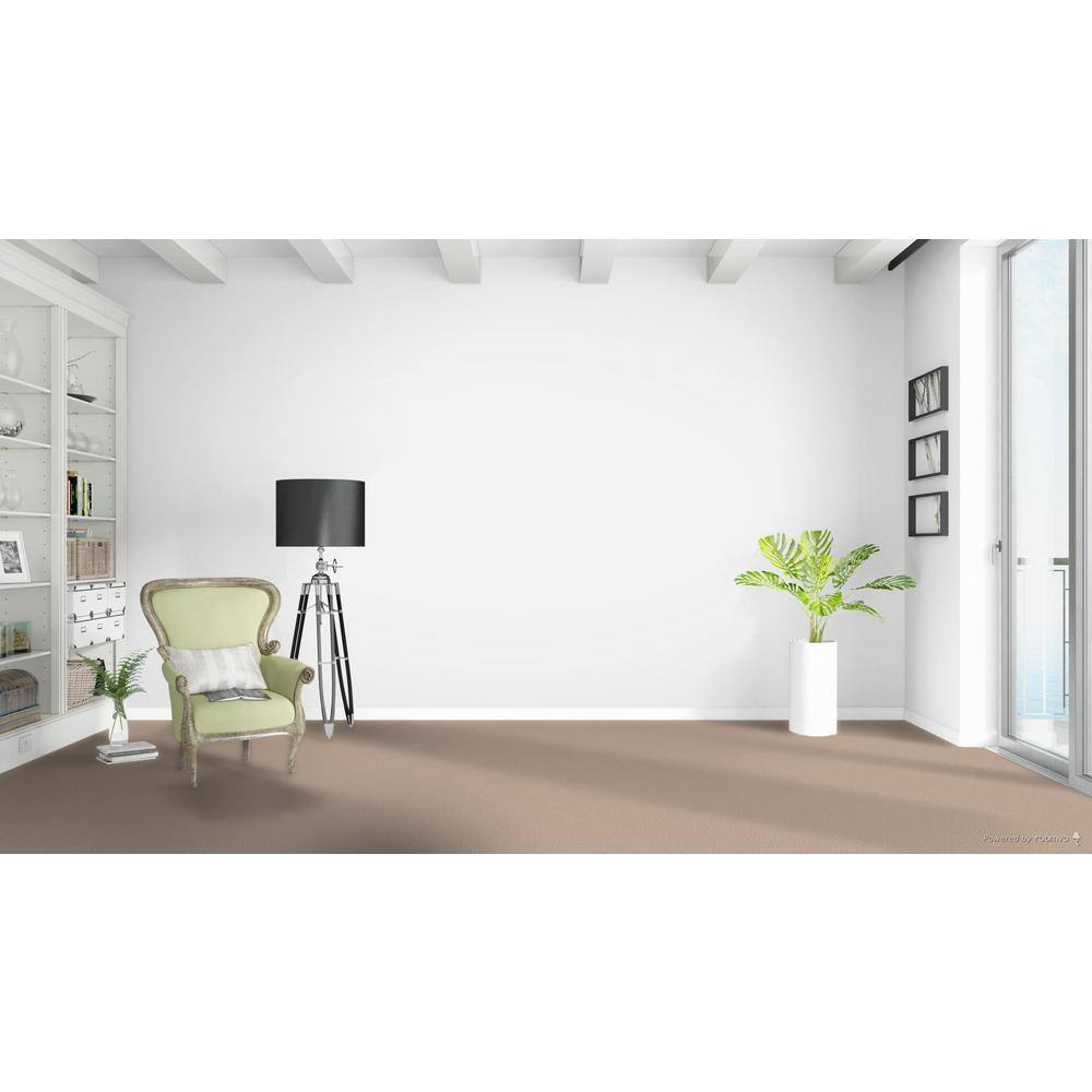 Home Decorators Collection Stargazer  - Mission - Beige 32 oz. SD Polyester Texture Installed Carpet